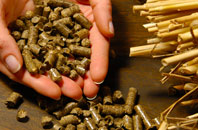 free Trub biomass boiler quotes