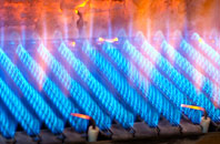 Trub gas fired boilers