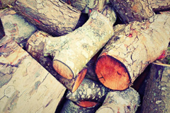 Trub wood burning boiler costs